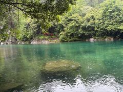 -石台牯牛降景区