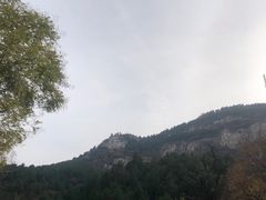 -佛慧山