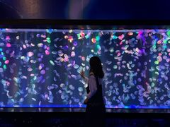 -海合安成都极地海洋公园