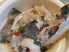 -老傅家湘潭水煮活鱼店(众一国际店)