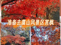 -虞山风景区