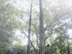 -汇龙潭