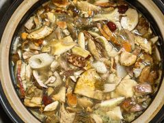 -山菌美食苑(振兴路店)