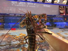 -驻海渔市(置信店)