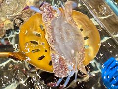 -海玥荟海鲜姿造自助餐厅(欧罗巴广场店)