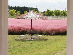-嘉北郊野公园