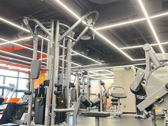 -健身专家Wellness Experts