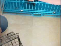 -艾贝尔宠物医院·狂犬免疫点(江山金象城店)