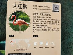 -武汉动物园