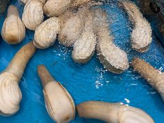 -舌尖上·霞浦滩涂海鲜(总店)