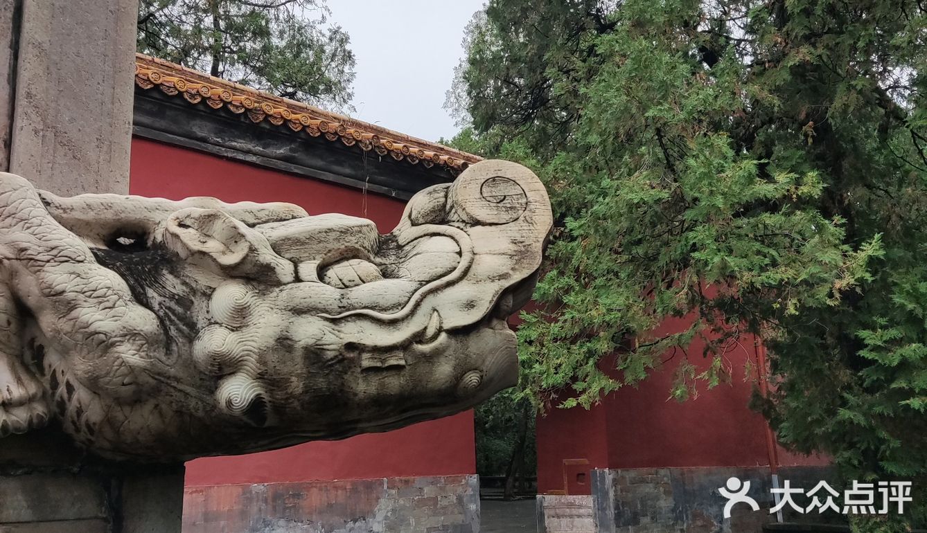 问了一下管理员，是野猫，四五个月大小了