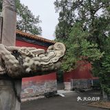 问了一下管理员，是野猫，四五个月大小了