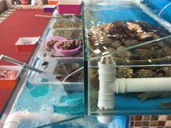 -港畔赶海蒸汽海鲜烧烤自助(仙螺岛店)