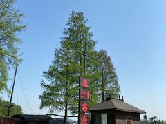-东湖落雁景区