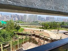 -青藏高原野生动物园