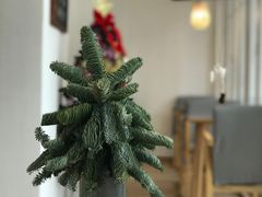 -茶庐(百花洲路店)