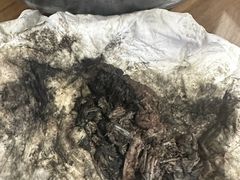-御面斋精品面馆