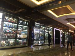 -UME影城(安贞DTS:X店)