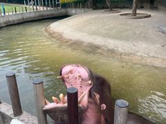 -常州淹城野生动物世界
