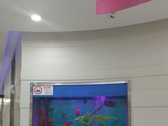 -雅悦齿科(顾村公园店)