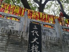 -大槐树寻根祭祖园