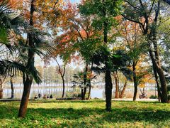 -东湖听涛景区
