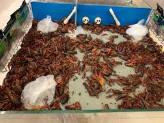 -永辉超市(红旗街万达广场店)