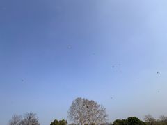-钟山体育运动公园