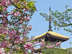 -东湖生态旅游风景区