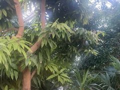 -忆江南·生态餐饮宴会酒店