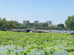 -济南大明湖景区