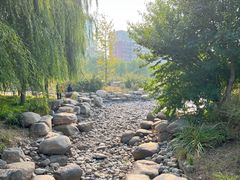 -莲花池公园