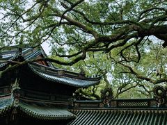 -普陀山风景名胜区-法雨禅寺