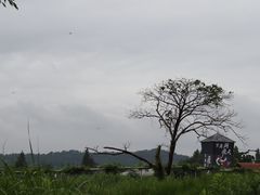 -下渚湖国家湿地公园科普馆