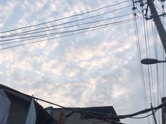 -麻木老地方牛筋牛杂(长堤街店)