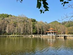 -深圳仙湖植物园