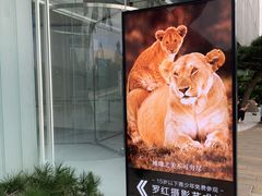 -罗红摄影艺术馆