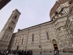 -圣母百花大教堂穹顶