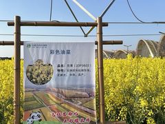 -中国天府农业博览园