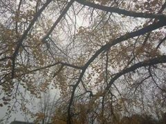 -四川大学(华西校区)