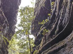 -梭布垭石林景区