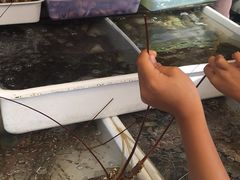 -拉威海鲜市场