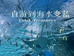 -海合安武汉极地海洋公园