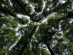 -山王坪喀斯特国家生态公园