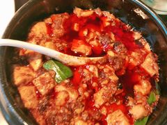 -陈麻婆豆腐总店