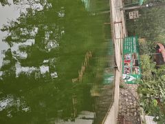 -西安祥峪森林公园