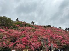 -木兰云雾山