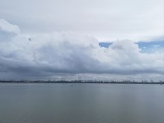 -大湾区中央湿地公园