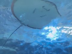 -泉城欧乐堡海洋极地世界