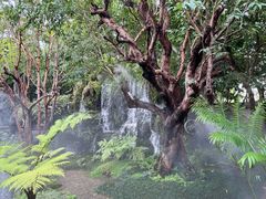 -Chom Cafe and Restaurant